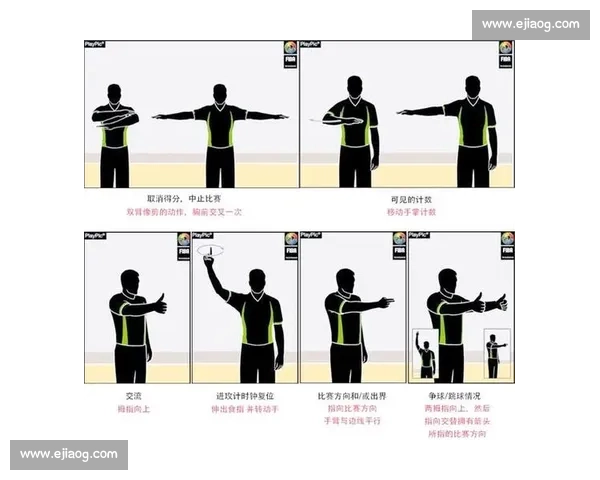 体育比赛裁判的职责与角色解析全面指南