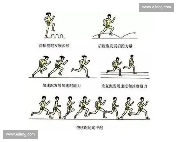 体育比赛常见术语系统解析与实战应用入门指南全面权威图解速懂